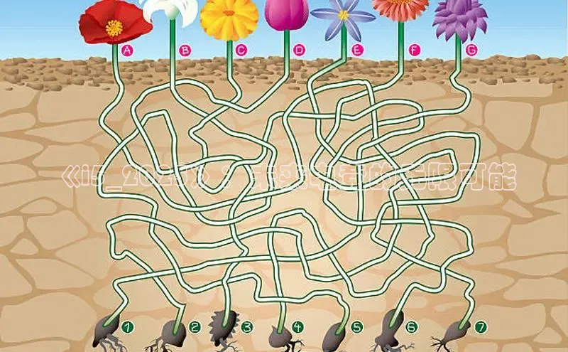 极速电竞官网入口